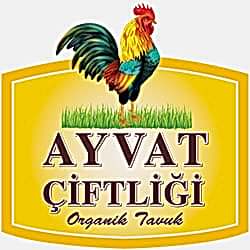 Ayvat Organik Tavuk