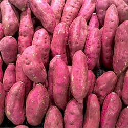 Beypazarı Organik Kırmızı Patates  KG 