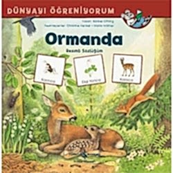 Dünyayı Öğreniyorum: Ormanda