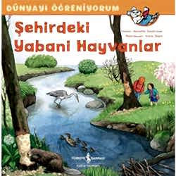 Dünyayı Öğreniyorum: Şehirdeki Yabani Hayvanlar  Annette Neubauer 