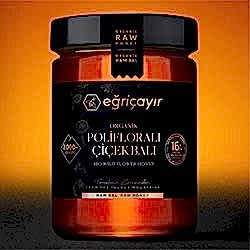 Eğriçayır Organik Polifloralı  Yabani  Çiçek Balı 850g