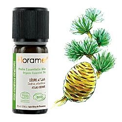 Florame Organik Atlas Sediri  Cedrus Atlantica  Esansiyel Yağı 10ml