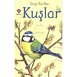 Doğa Kartları: Kuşlar