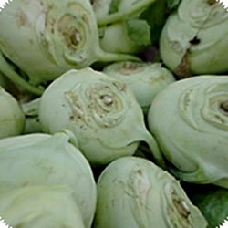 Organik Alabaş  ADET 