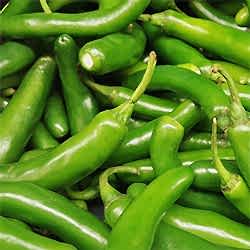 Organik Acı Jalapeno Biberi  KG 