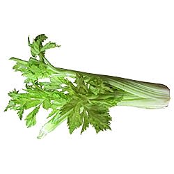 Organik Kereviz Sapı  Demet 