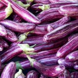 Organik Mor Patlıcan  KG 