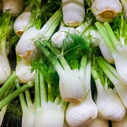 Organik Rezene  Adet 