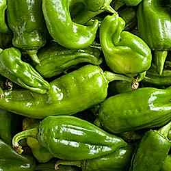 Organik Köy Biberi  KG 