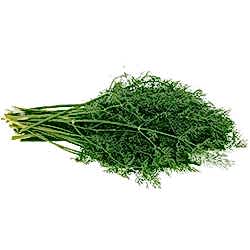 Organik Dereotu  DEMET 