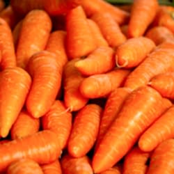 Organik Beypazarı Havuç  KG 