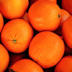 Organik Portakal  KG 