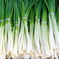 Organik Taze Soğan  DEMET 