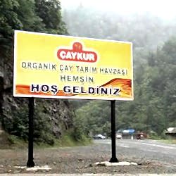 Çaykur Çay İşletmeleri (Organik Çay Tarım Havzası)