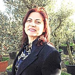 Zertum Zeytincilik, Manisa Salihli