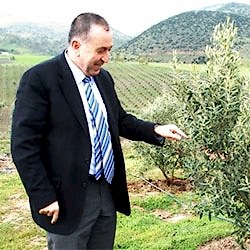 İlhan Sarı Organik Zeytin Çiftliği