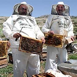 Şahbaz Çay ve Murat Çay, Boynuinceli Eğriçayır